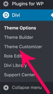 Divi theme customizer