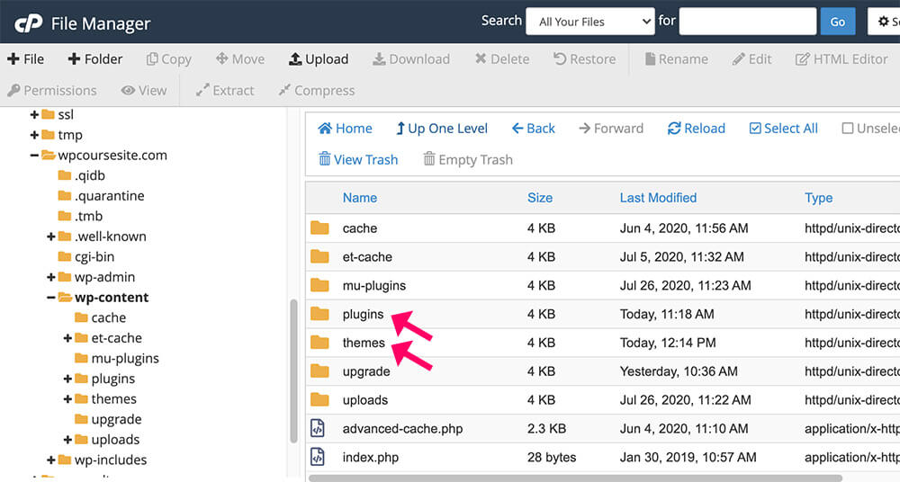 Plugins and themes folder in cPanel