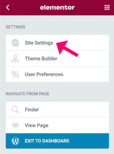 Elementor site settings options