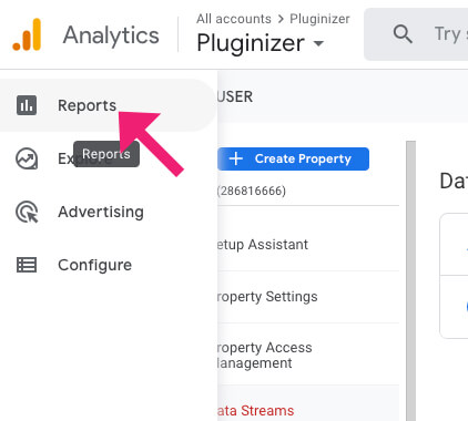 Google Analytics reports tab
