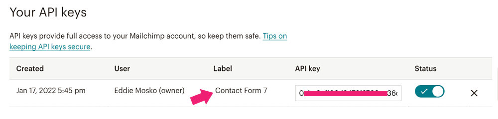 Give the API key a label
