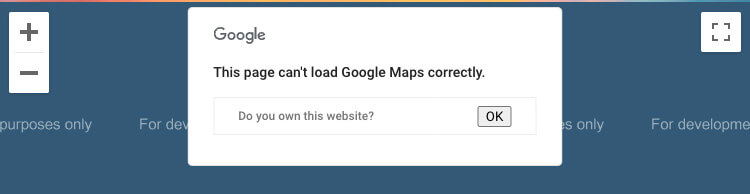 Cant load Google map error