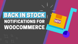 Read more about the article How to Easily Add Back in Stock Notification to Woocommerce Store