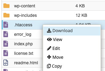 Download htaccess file