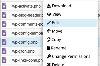 Edit the wp-config file