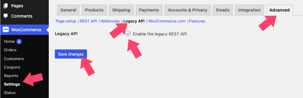 Enable WooCommerce API feature