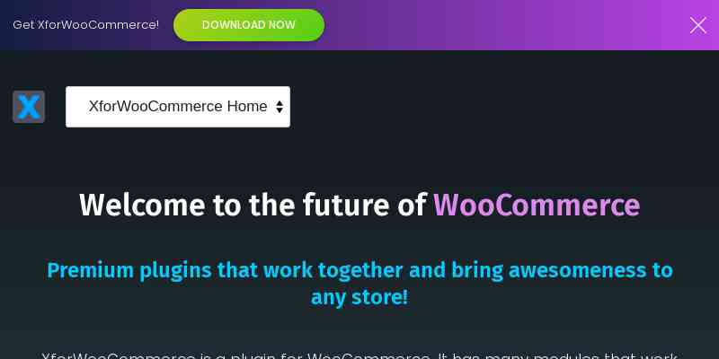 Live Product Editor for WooCommerce