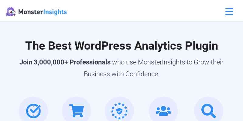 MonsterInsights – Page Insights Addon