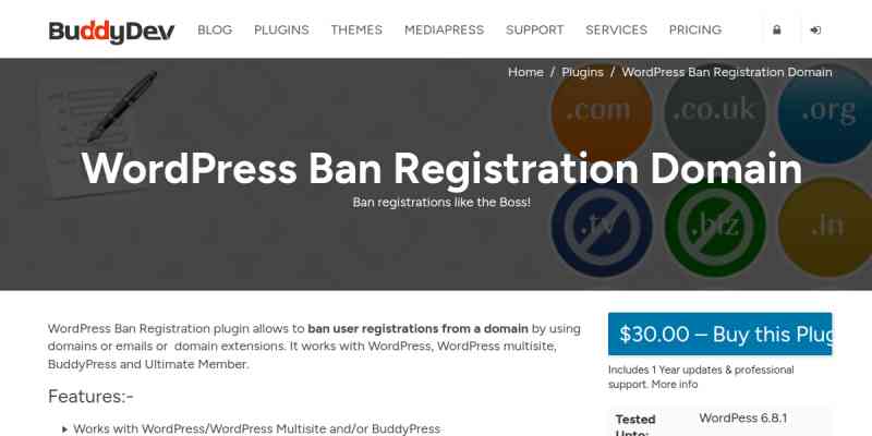 WordPress Ban Registration Domain