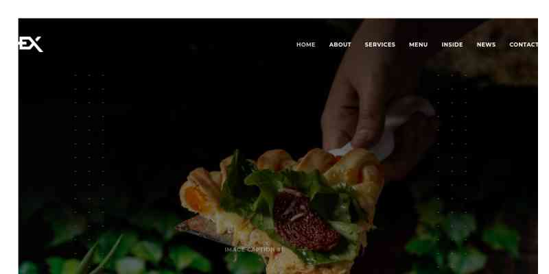 Foodex