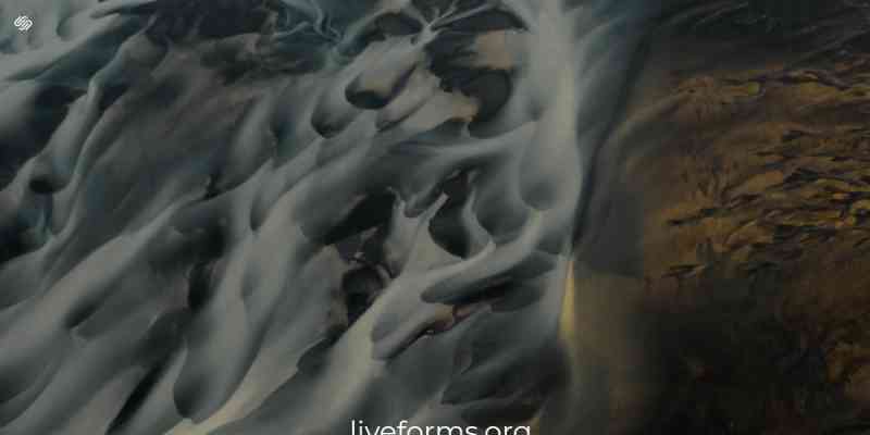 Live Forms