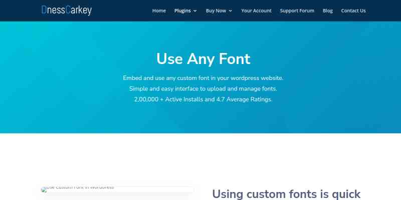 Use Any Font