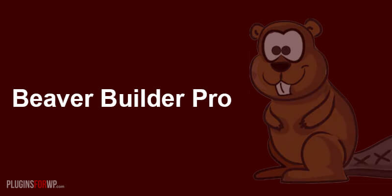 Beaver Builder Plugin (Pro Version)