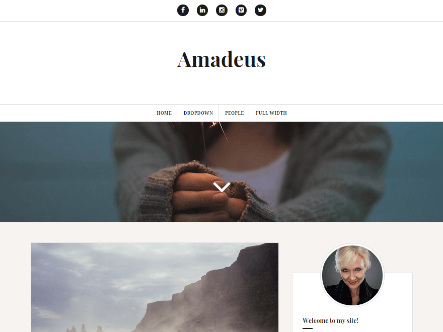 Amadeus Pro