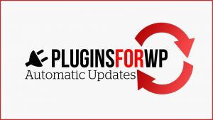 Read more about the article How to Automatically Update the Plugins and Themes From Within Your WordPress Dashboard