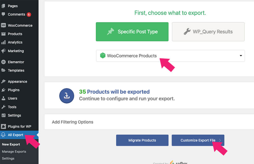 Select what WooCommerce data to export